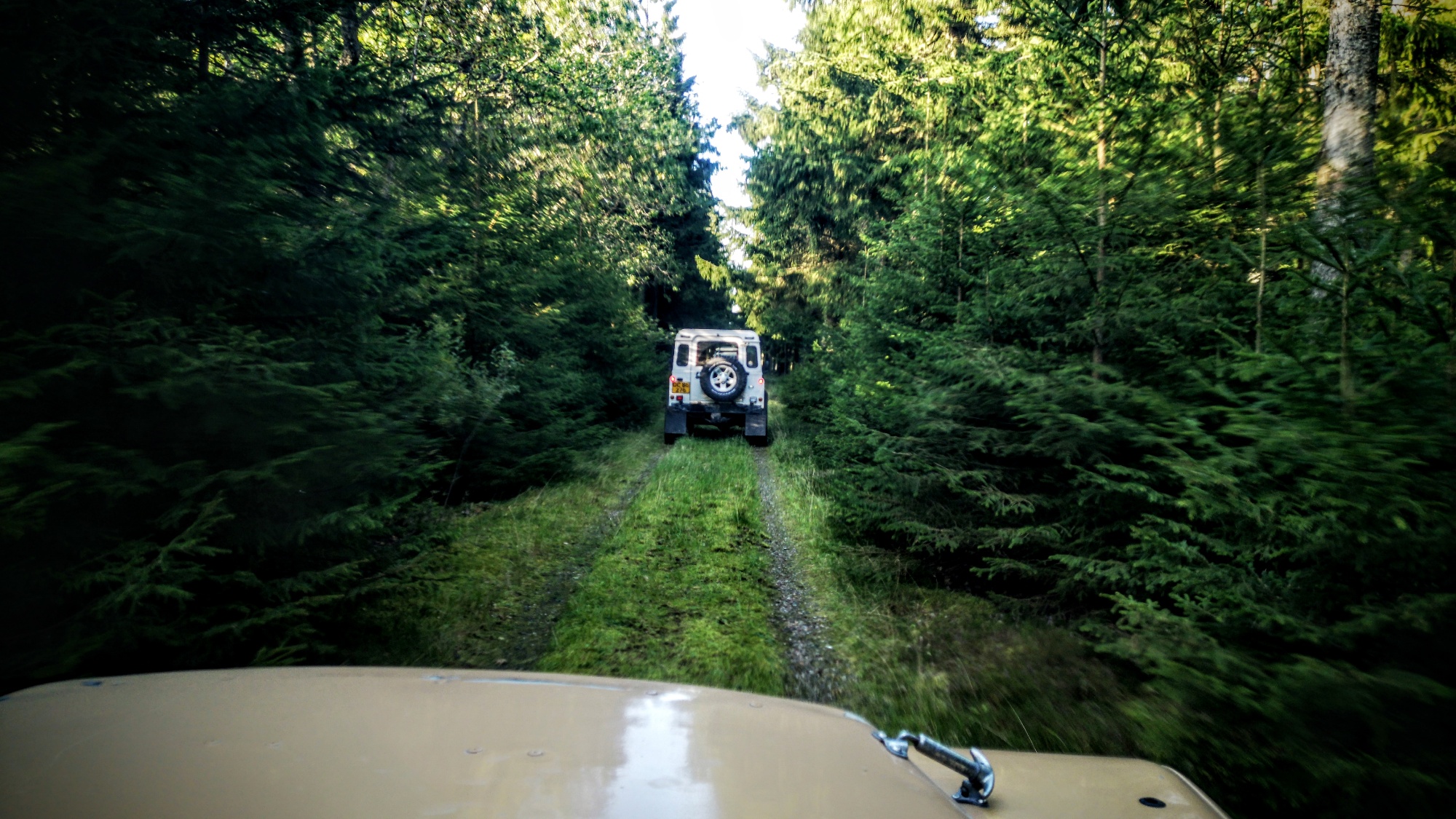 IMG 20190921 173501 (1)